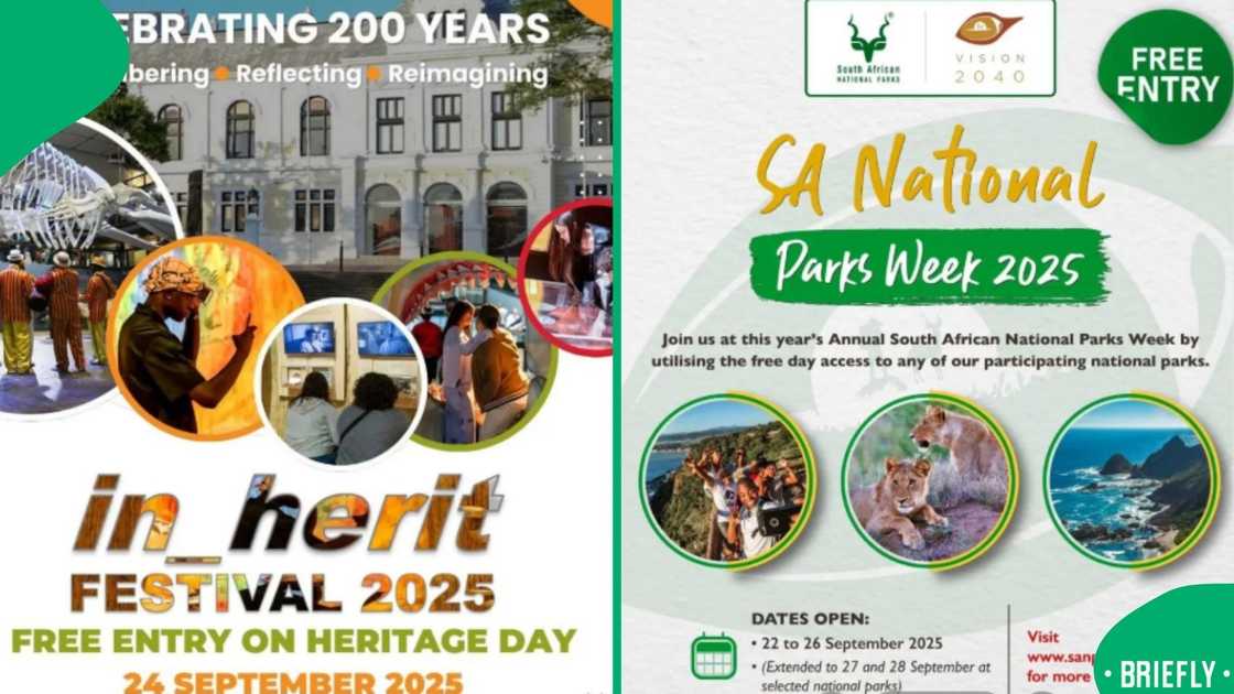 A TikTok post reminded South Africans that celebrating heritage can be fun without spending much A TikTok post reminded South Africans that celebrating heritage can be fun without spending much