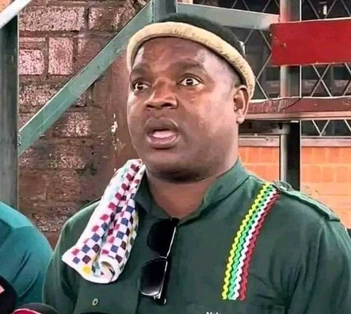 Ngizwe Mchunu addressed the xenophobic label Ngizwe Mchunu addressed the xenophobic label