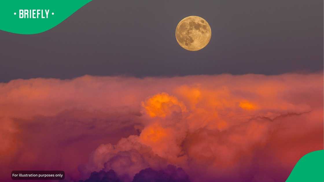The moon. The moon.