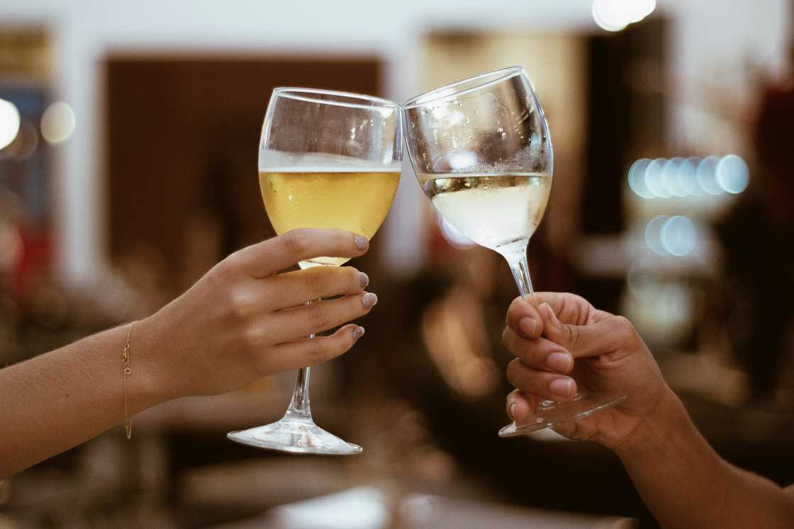 Two women toasting a glass of wine