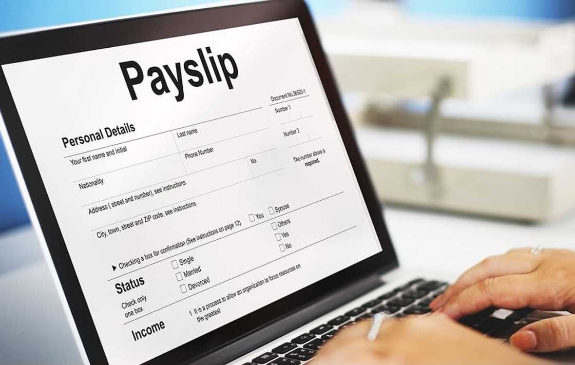 online payroll software