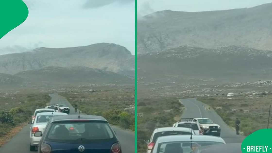 The image on the right showed a herd of elands crossing the road