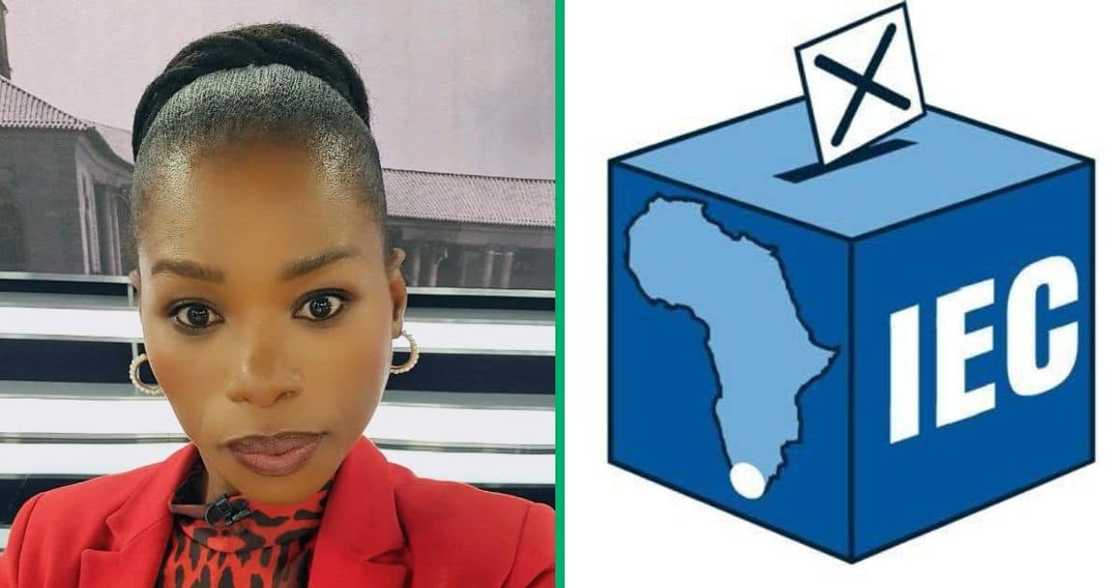 Anele Mda blames IEC and Parliament Anele Mda blames IEC and Parliament