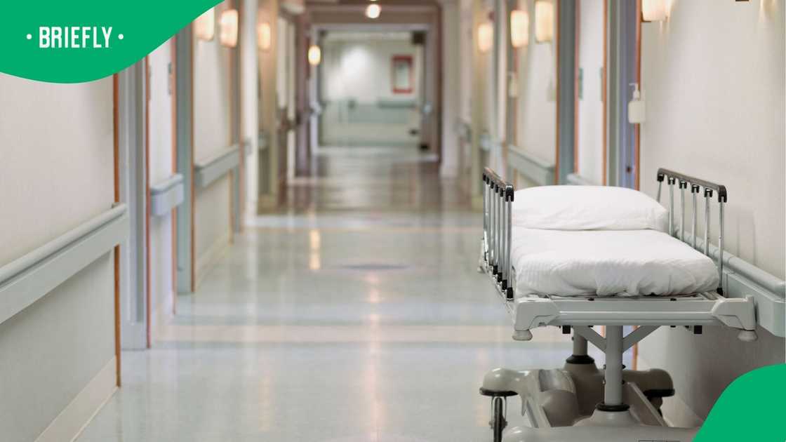 The Gauteng department of health has yet again failed to spend its budget