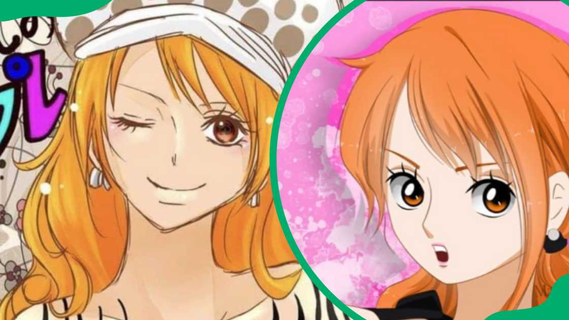 Nami One Piece Nami One Piece