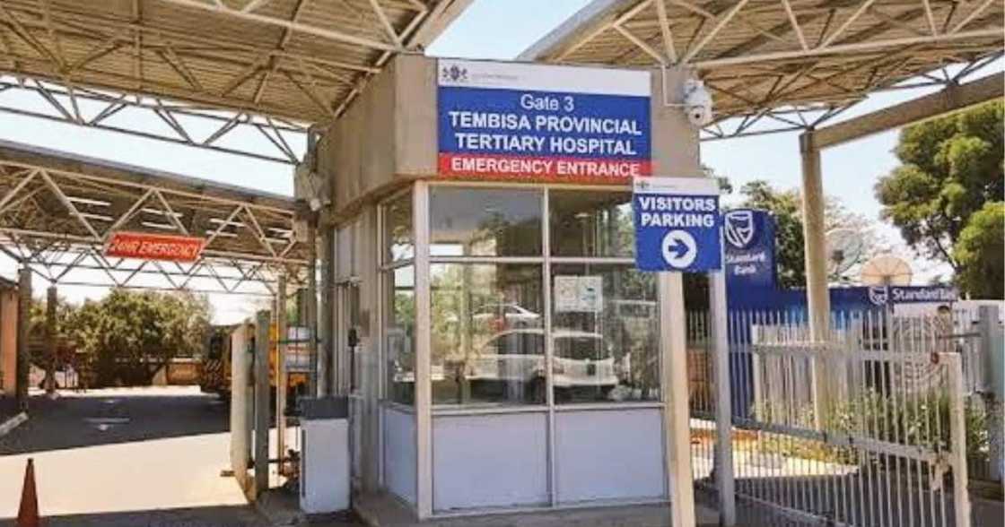 Tembisa Hospital, Nurse, South African Police Service, SAPS, Government, State, Police Minister, Bheki Cele, Lebogang Monene, Shot, Killed, Constable, Parking lot Tembisa Hospital, Nurse, South African Police Service, SAPS, Government, State, Police Minister, Bheki Cele, Lebogang Monene, Shot, Killed, Constable, Parking lot