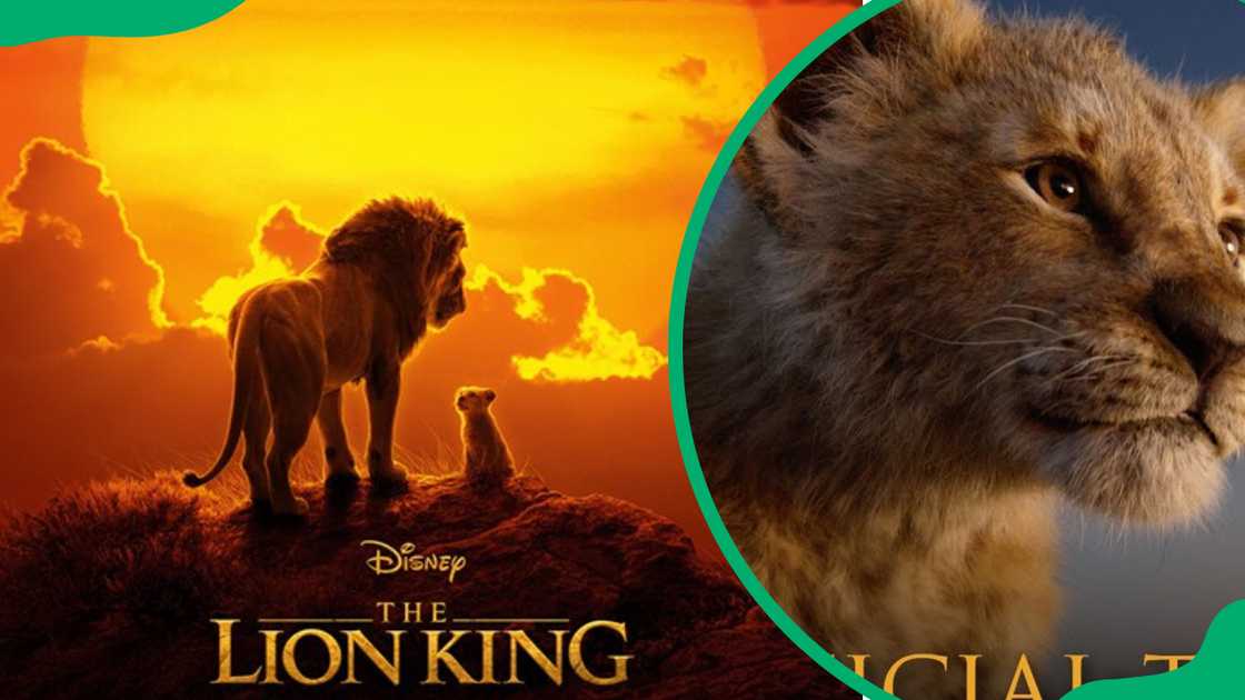 Lion King movie Lion King movie