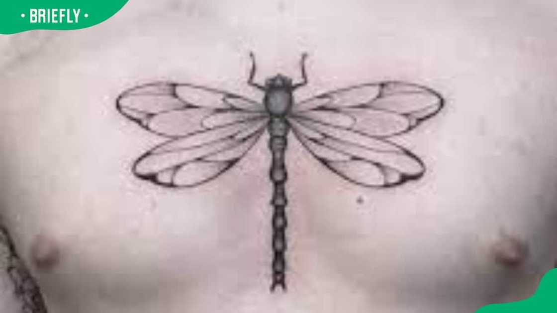Chest dragonfly tattoo Chest dragonfly tattoo