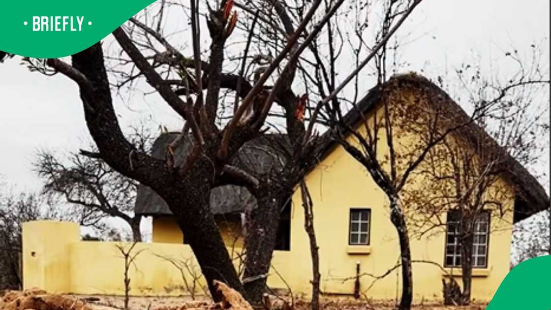 A post went viral on Facebook. A post went viral on Facebook.