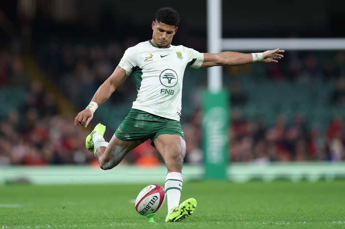 Sacha Feinberg-Mngomezulu, Springboks, South Africa