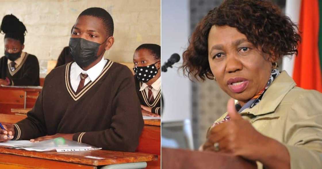 matric, 2021, pass, rate, subjects, career, nsc, basic, education, south, africa matric, 2021, pass, rate, subjects, career, nsc, basic, education, south, africa