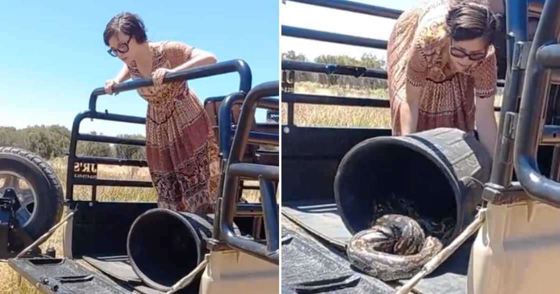 Woman shares video of her releasing a snake. Woman shares video of her releasing a snake.