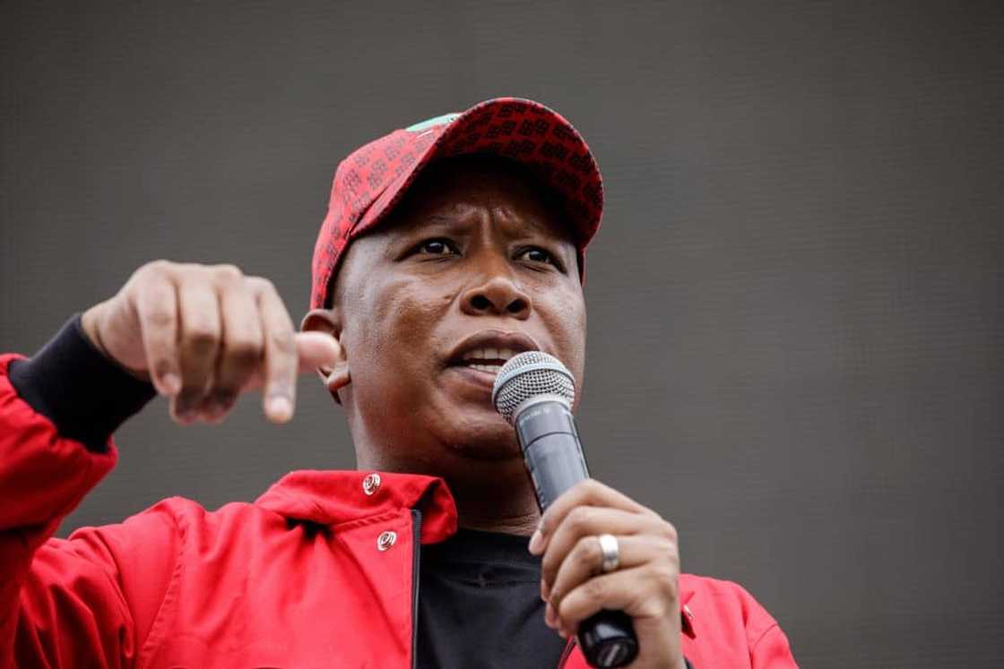 Julias Malema, leader of the EFF