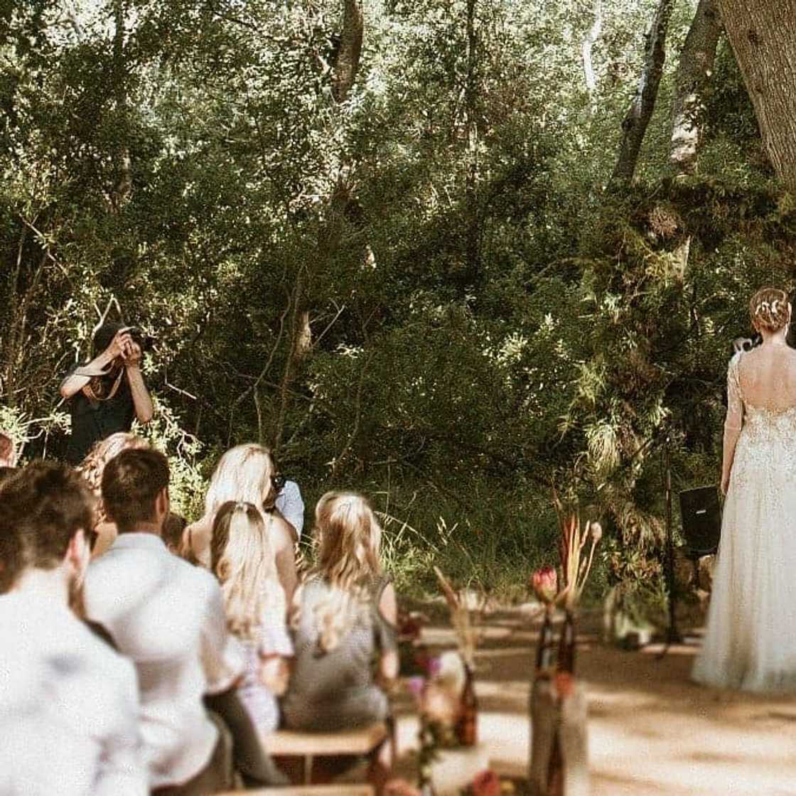 15 breathtaking forest wedding venues Cape Town