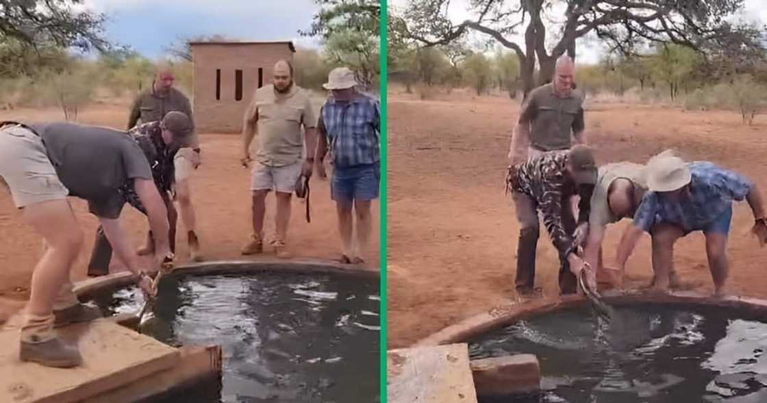 A Facebook video shows a group of men trying to remove a snake from the water. A Facebook video shows a group of men trying to remove a snake from the water.