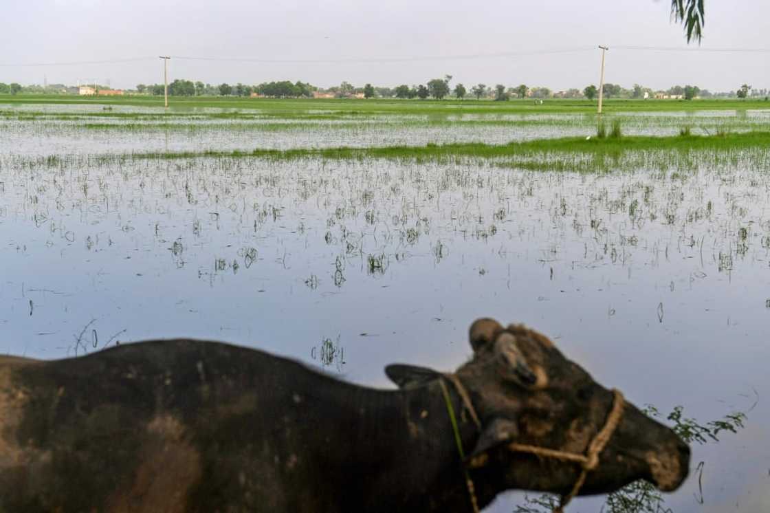 With homes and livelihoods washed away, some farm workers are expected not to return to their rural lives