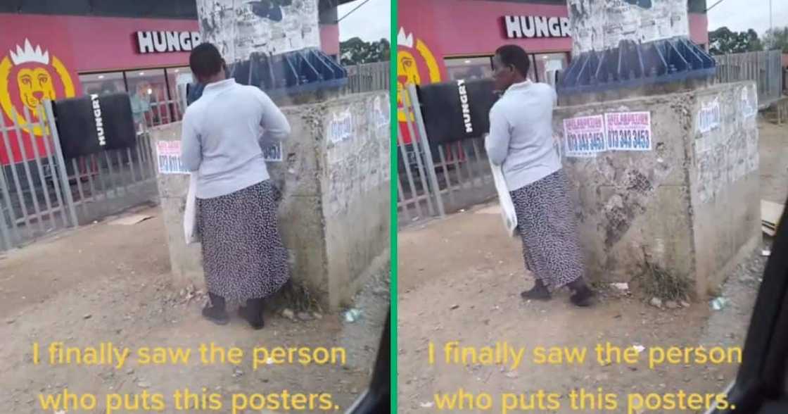 Lady captured mounting street posters in Eastern Cape Lady captured mounting street posters in Eastern Cape