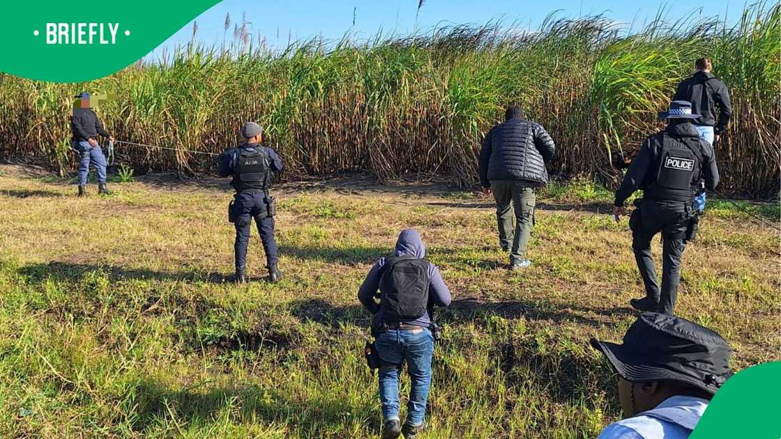 Cops launch search for raping robber who stormed Limpopo college campus in Bolobedu Cops launch search for raping robber who stormed Limpopo college campus in Bolobedu