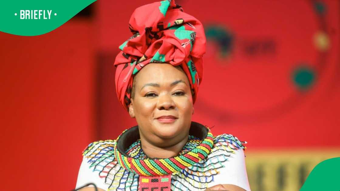 The EFF's Omphile Maotwe slammed the process of the budget which was passed The EFF's Omphile Maotwe slammed the process of the budget which was passed