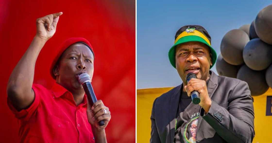 EFF leader Julius Malema and ANC Ekurhuleni Chairperson Mzwandile Masina EFF leader Julius Malema and ANC Ekurhuleni Chairperson Mzwandile Masina