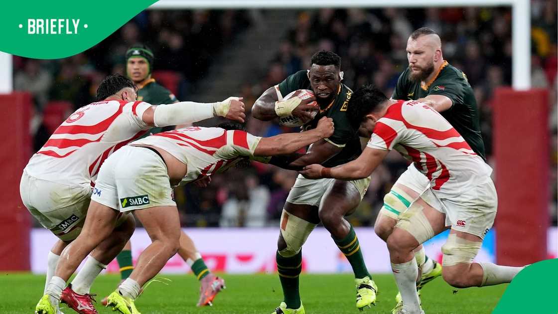 Siya Kolisi, Quilter Nations Series, Wembley Stadium, London.