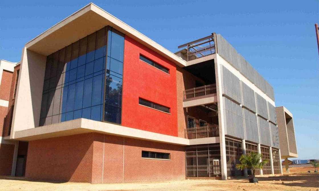 Top 15 cheap universities in South Africa: fees, ranking, courses offered Top 15 cheap universities in South Africa: fees, ranking, courses offered