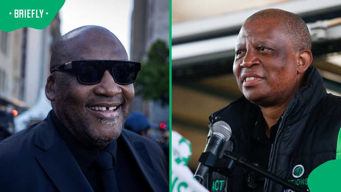 Gayton McKenzie, Herman Mashaba, South Africa