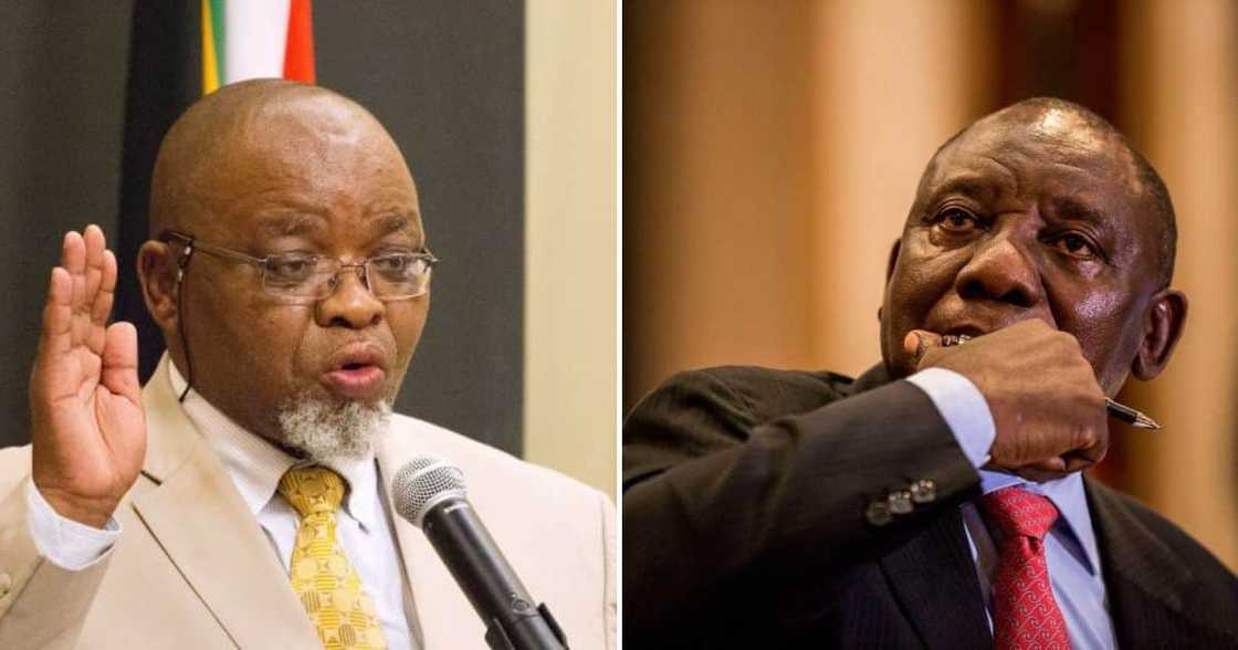 Ramaphosa and Mantashe headed to court Ramaphosa and Mantashe headed to court