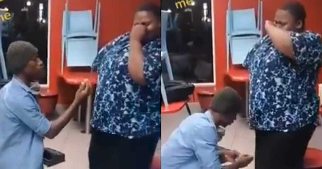 Man, Proposal, Hungry Lion, Reactions Man, Proposal, Hungry Lion, Reactions