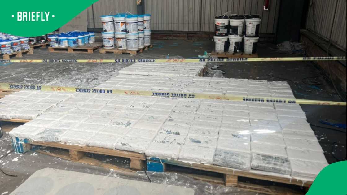 The cartel sits at the centre of a widening law enforcement scandal that erupted in July 2025