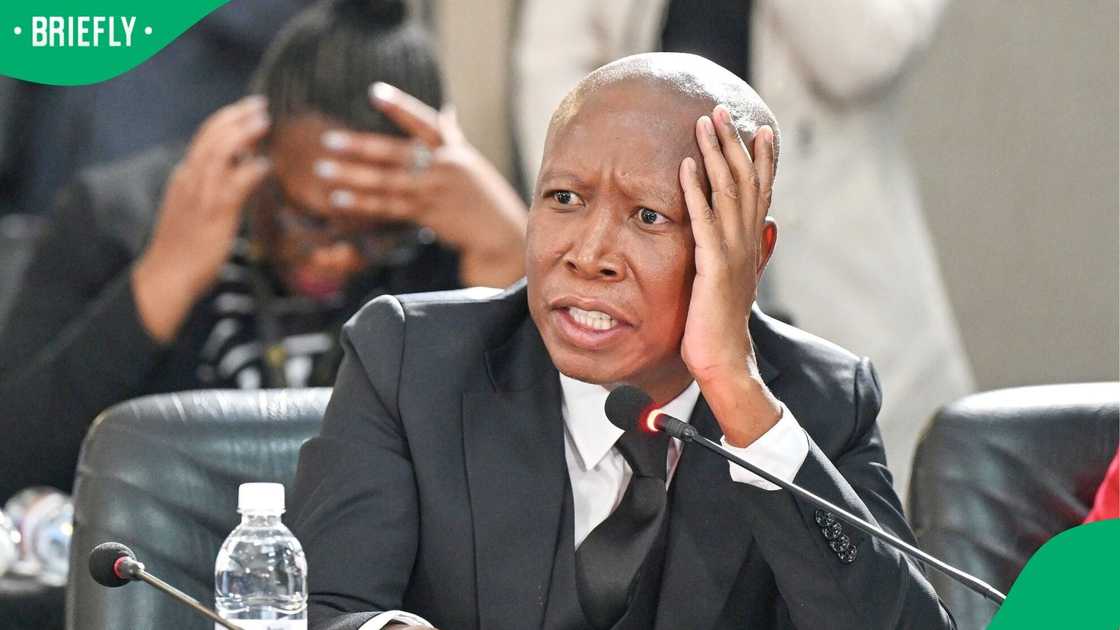 Julius Malema gave Vusimuzi Matlala a platform to address Jerry Boshoga’s mother Julius Malema gave Vusimuzi Matlala a platform to address Jerry Boshoga’s mother