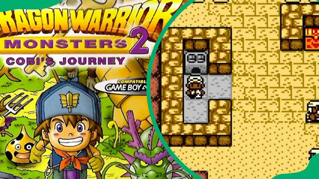 Dragon Warrior Monsters 2