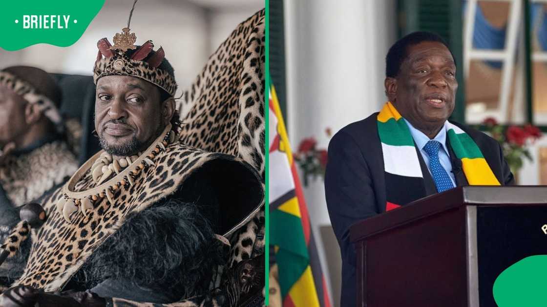 Zulu King Misuzulu kaZwelethini will meet Zimbwean president Emmerson Mnangagwa to discuss migration