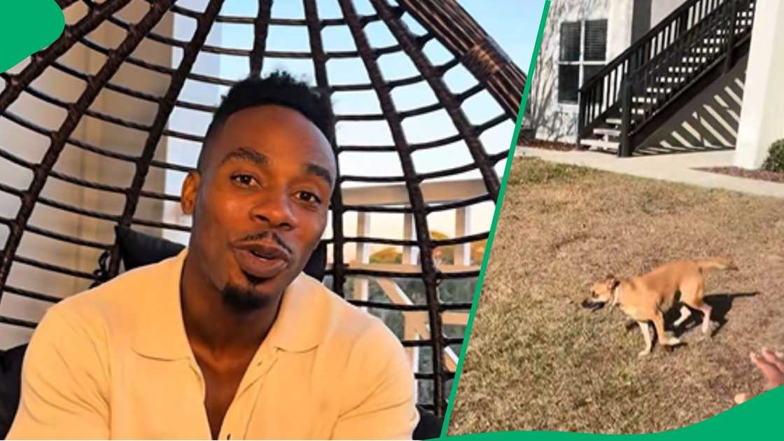 American chuffed with his township dog in USA