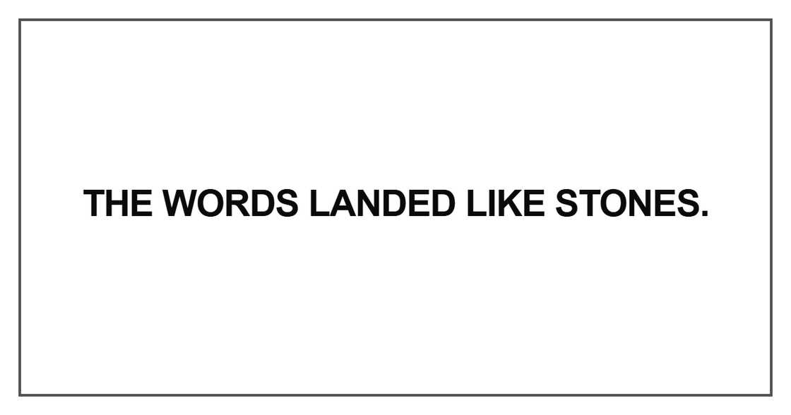 The words landed like stones