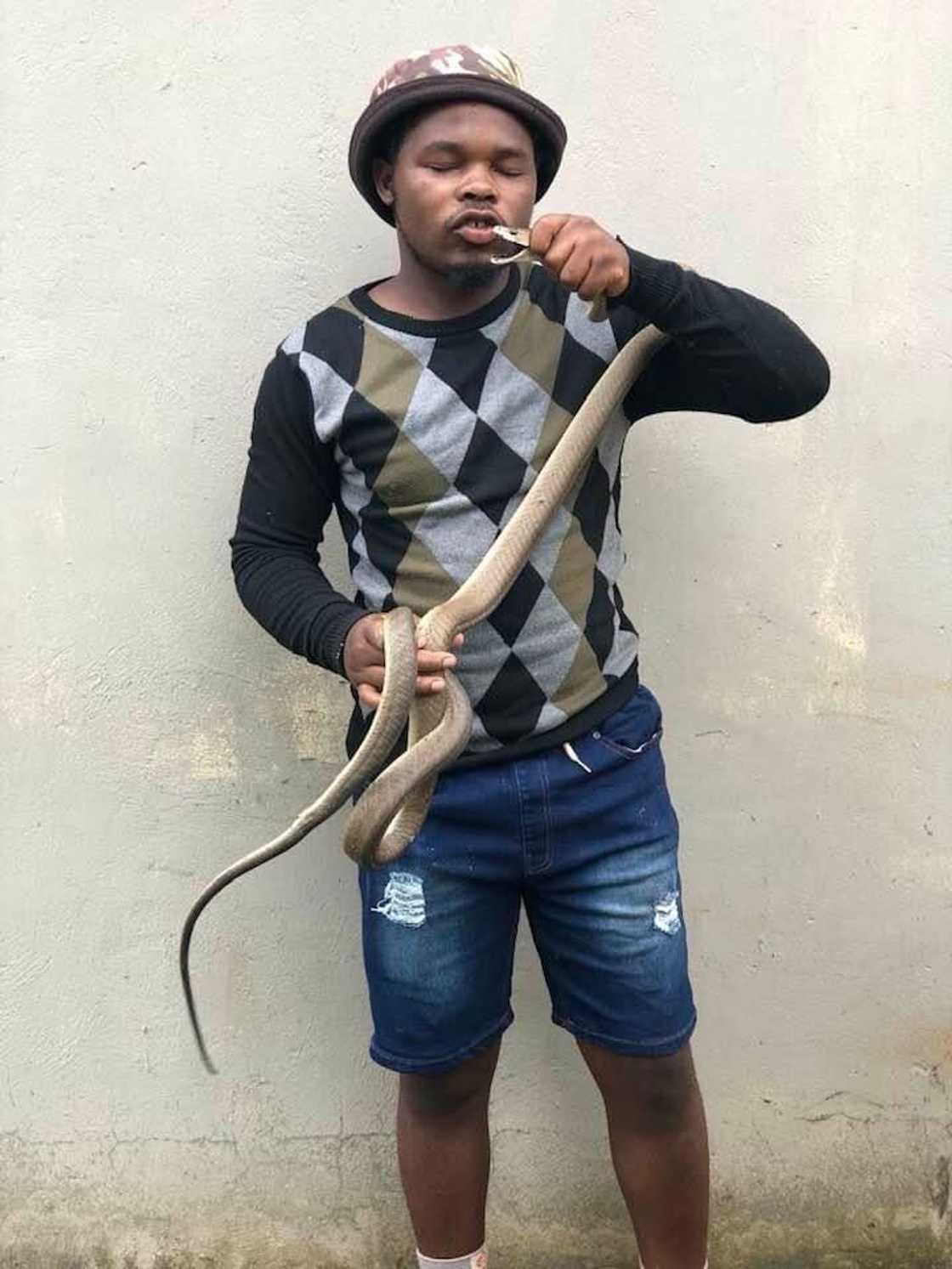 A young man expressed that he had no fear of snakes even though he had been beaten by them before A young man expressed that he had no fear of snakes even though he had been beaten by them before