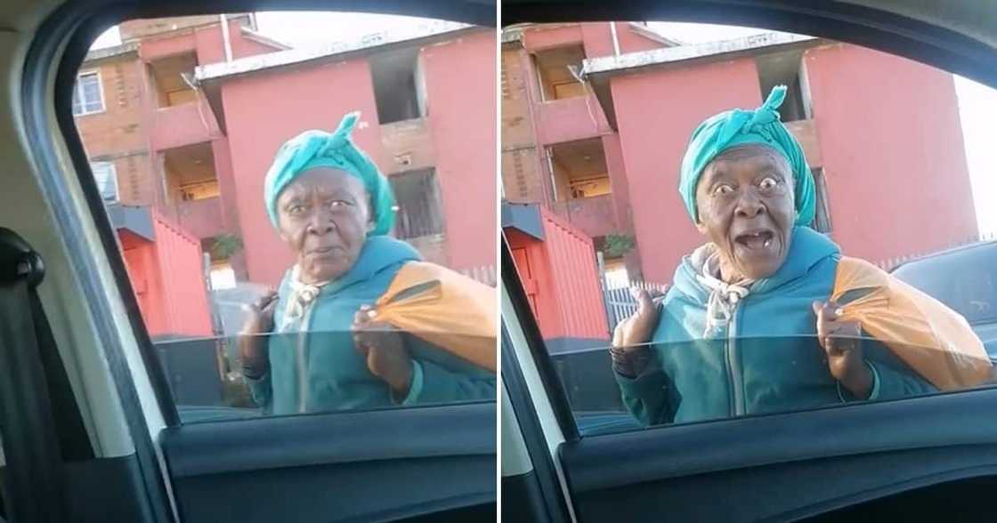 Gogo, Driver Gogo, Driver