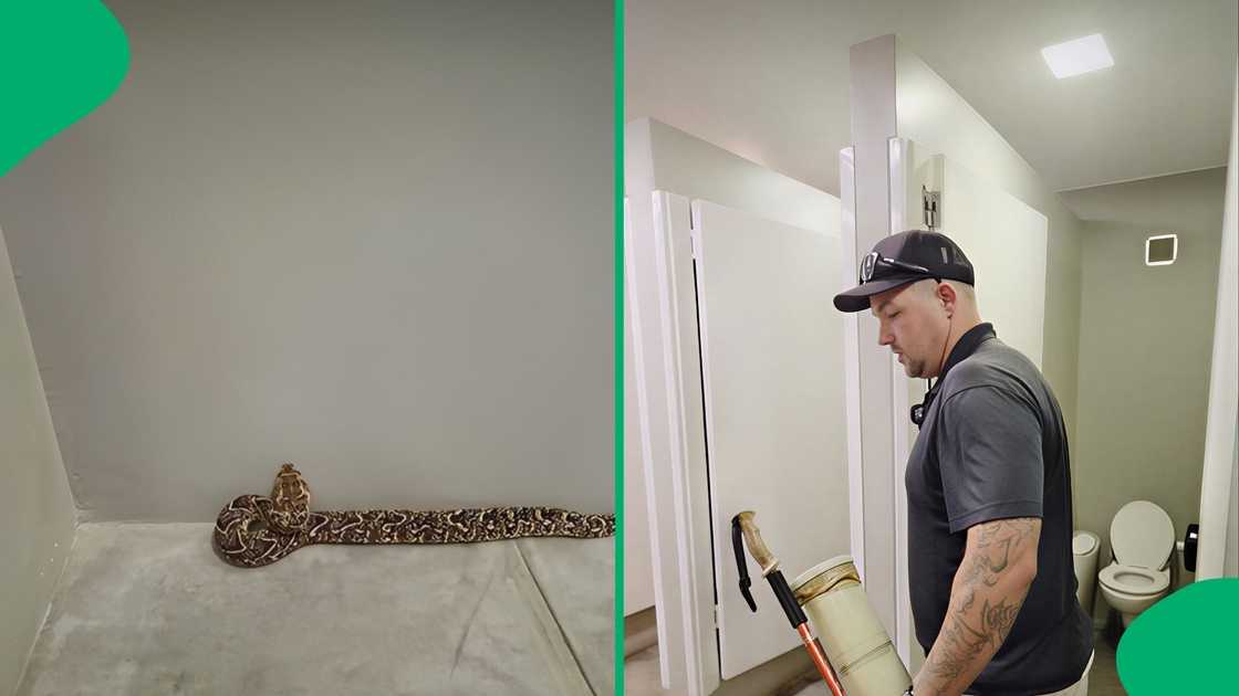 The snake catcher arrived to find frightened shoppers avoiding the public facilities