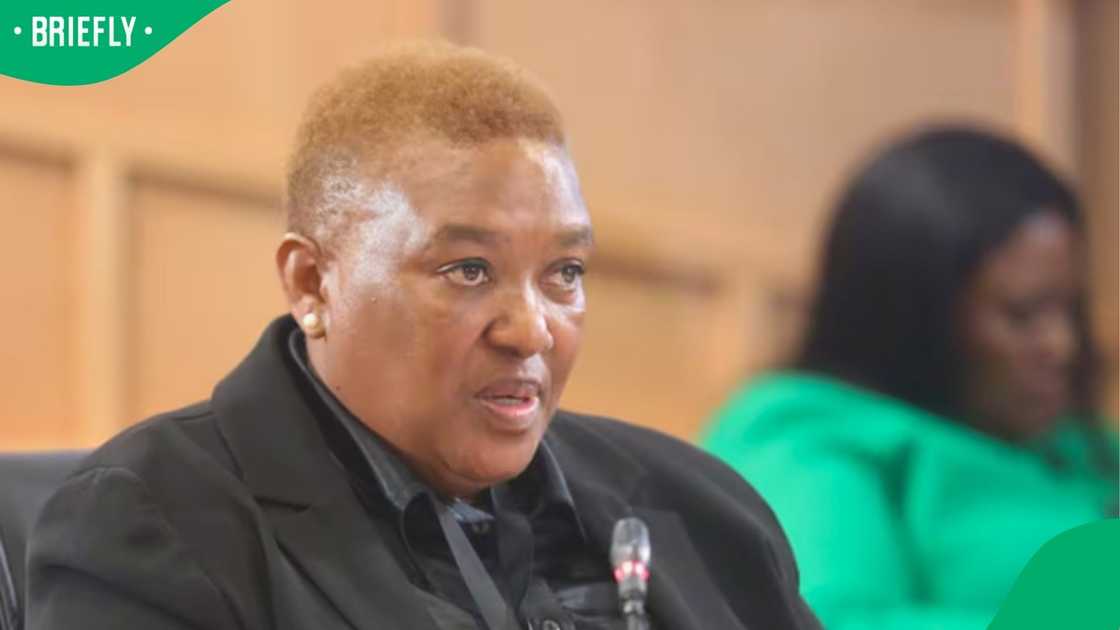 Major General Mary Motsepe testified before the Madlanga Commission of Inquiry