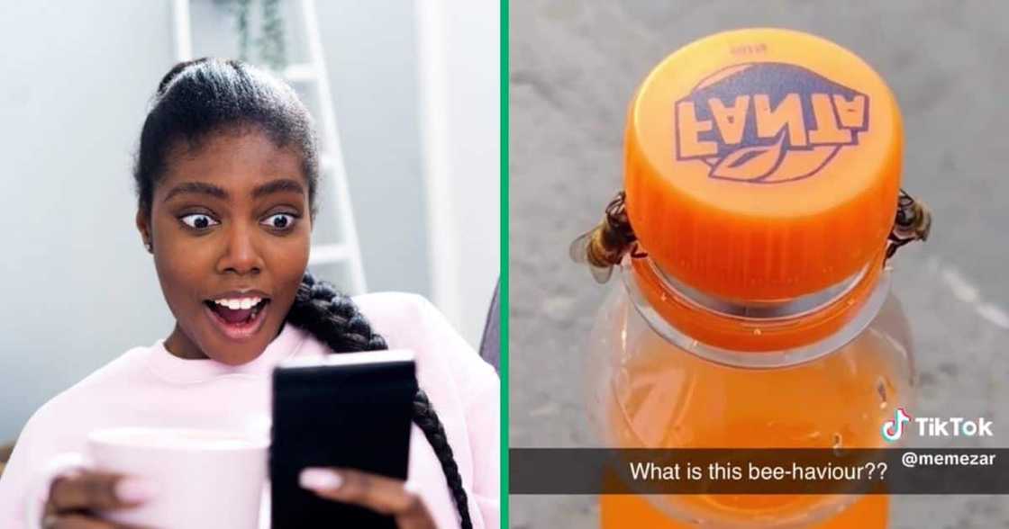 Stock image of an stunned woman and bees opened a bottle Stock image of an stunned woman and bees opened a bottle