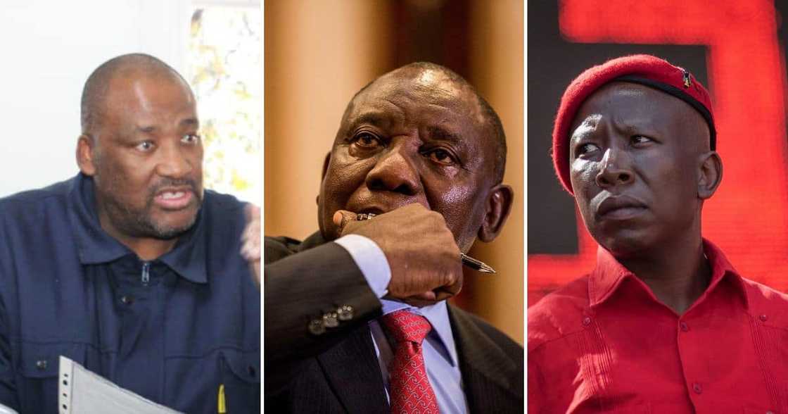 Gayton McKenzie_Cyril Ramaphosa_Julius Malema Gayton McKenzie_Cyril Ramaphosa_Julius Malema