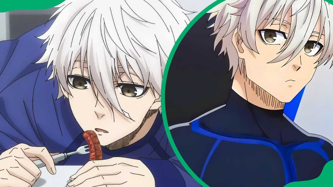 Seishiro Nagi from Blue Lock Seishiro Nagi from Blue Lock