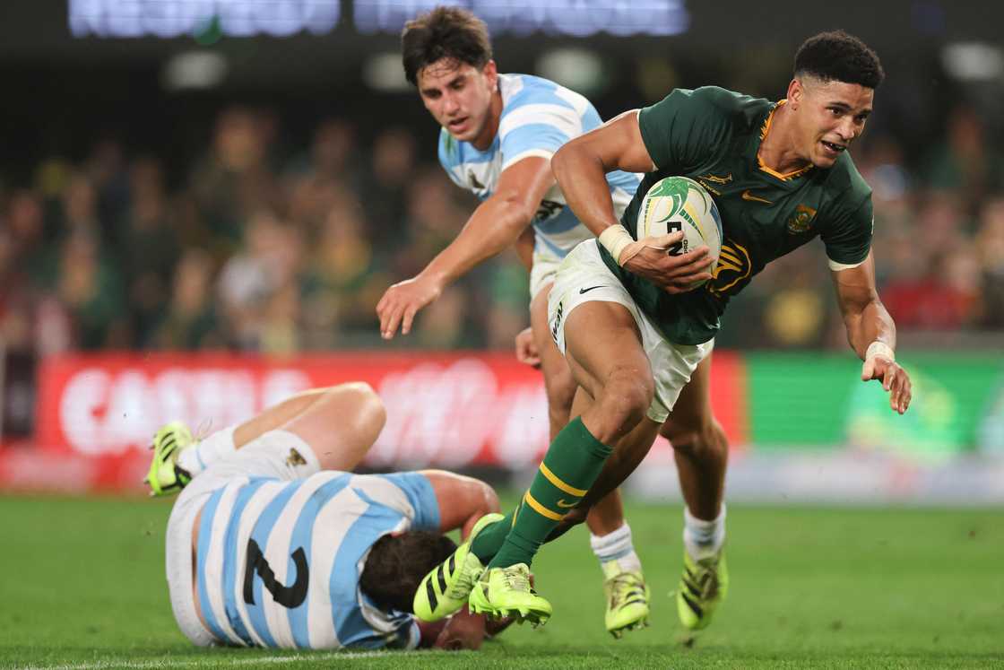 Springboks, Argentina, Rugby Championship, Sacha Feinberg Mngomezulu