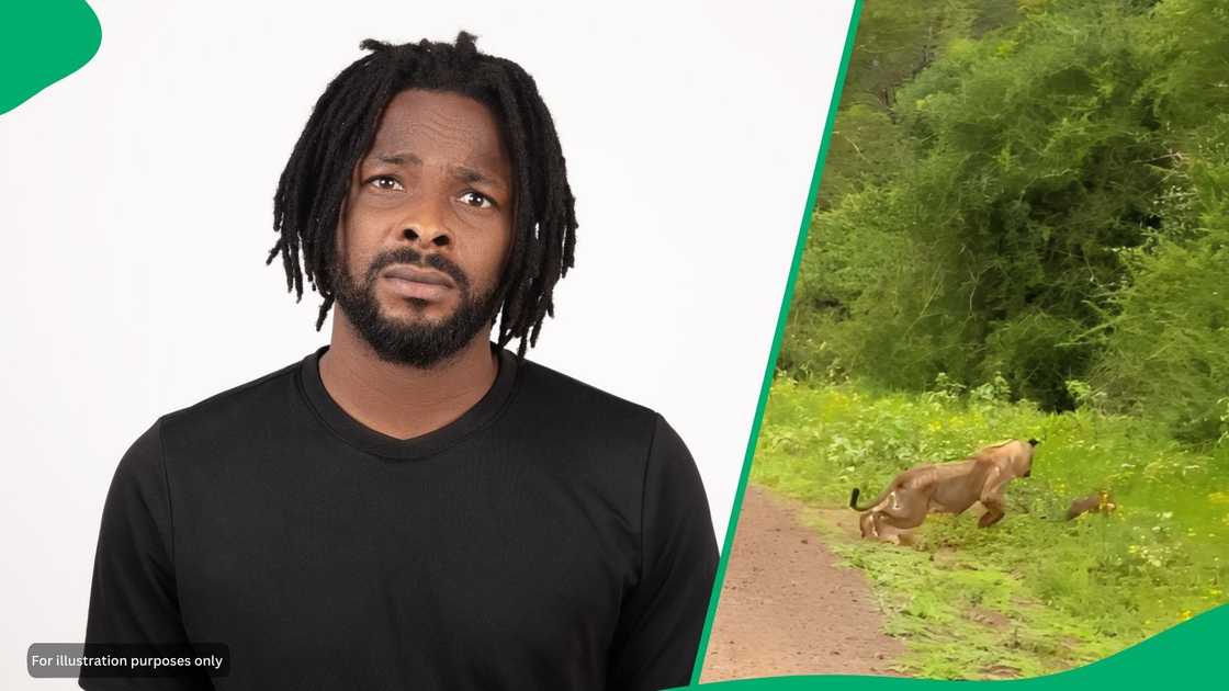 The chase was filmed by nature reserve visitors who were in a safari car