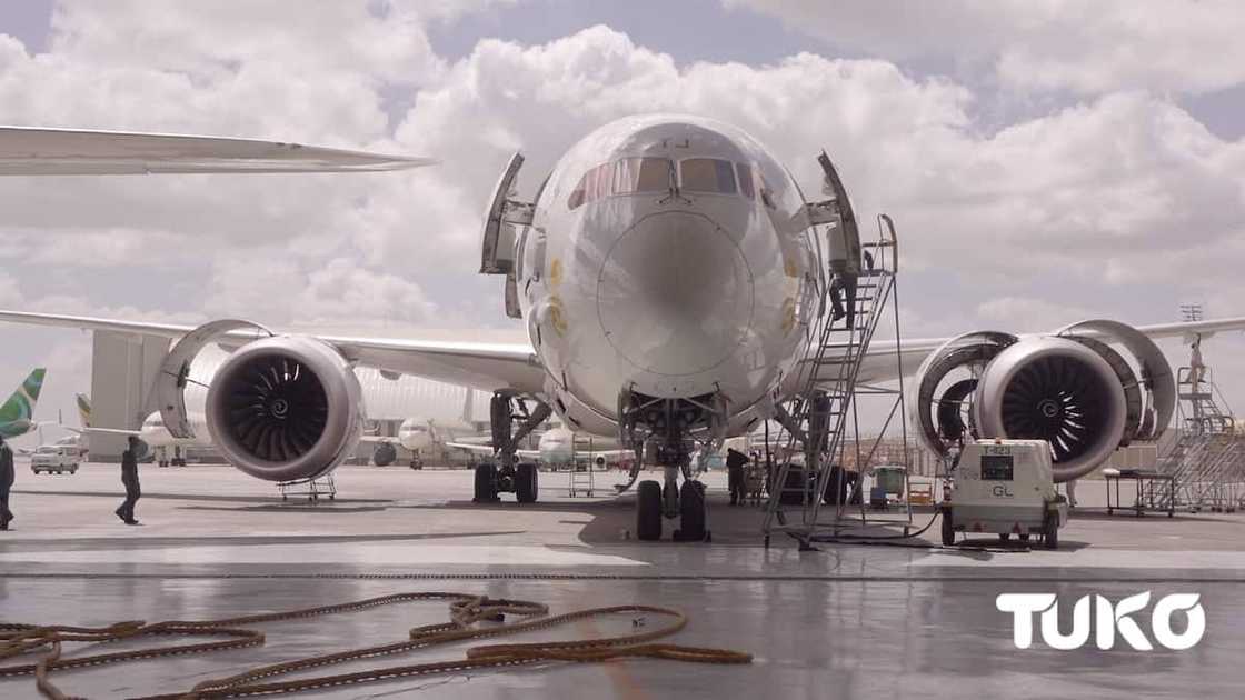 Ethiopian: Africa’s largest, most profitable airline flies high with zero funding from government Ethiopian: Africa’s largest, most profitable airline flies high with zero funding from government