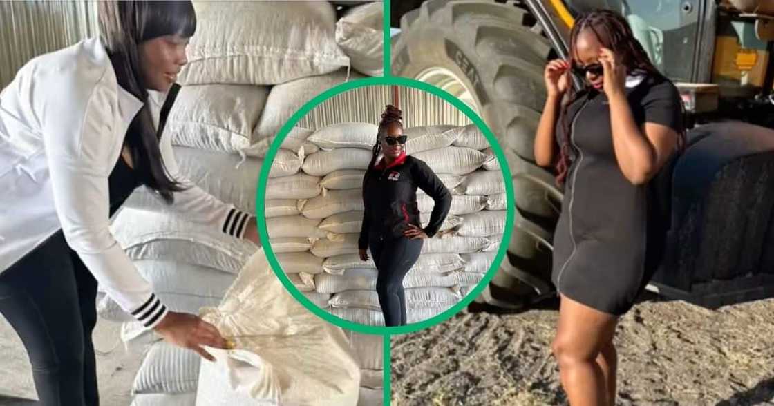 Woman showcases skills as a farmer. Woman showcases skills as a farmer.