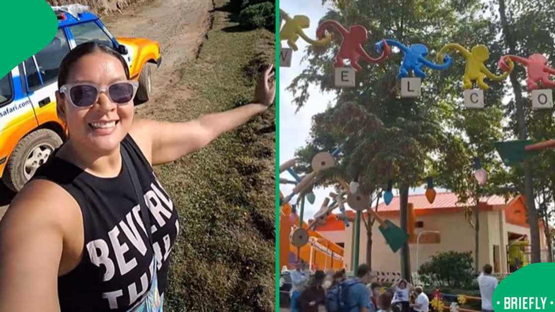 The image on the right captured the queues in Disneyland