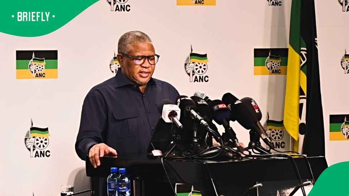 ANC Secretary-General Fikile Mbalula roasted March and March