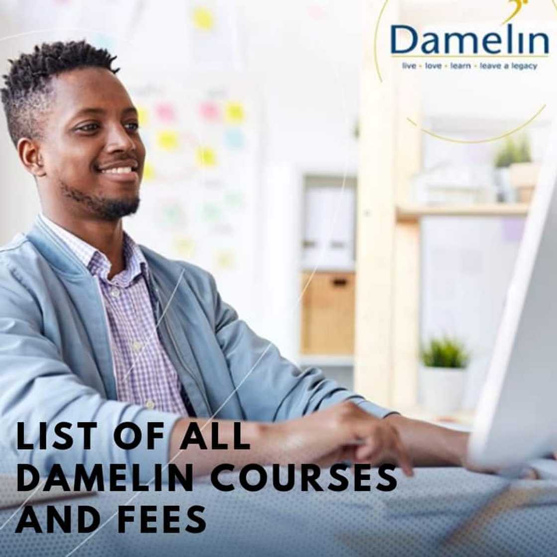 Damelin courses and fees 2021