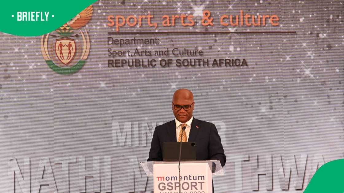 Nathi Mthethwa, Department of Arts Sports and Culture